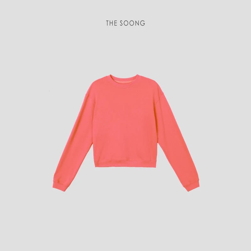 THESOONG “Pop Sweatshirt” 100% Cotton Ribbed Crewneck Relaxed Sweatshirt - 9179 view 14