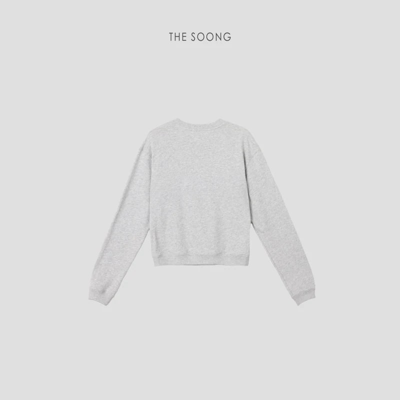 THESOONG “Pop Sweatshirt” 100% Cotton Ribbed Crewneck Relaxed Sweatshirt - 9179 view 18