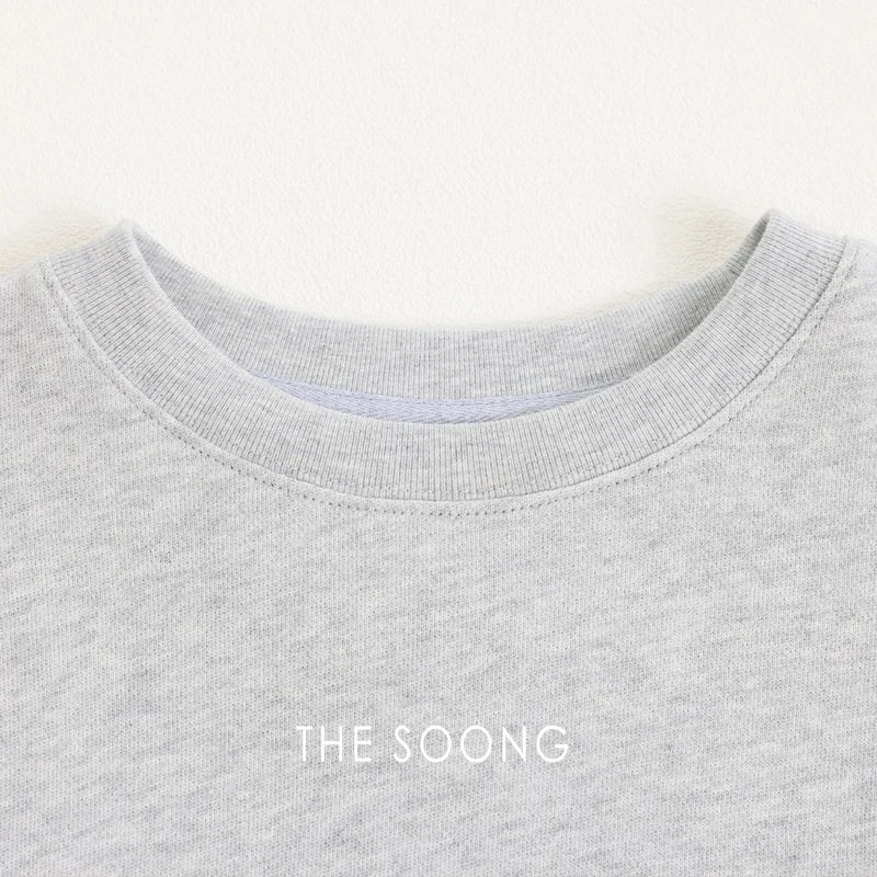 THESOONG “Pop Sweatshirt” 100% Cotton Ribbed Crewneck Relaxed Sweatshirt - 9179 view 19