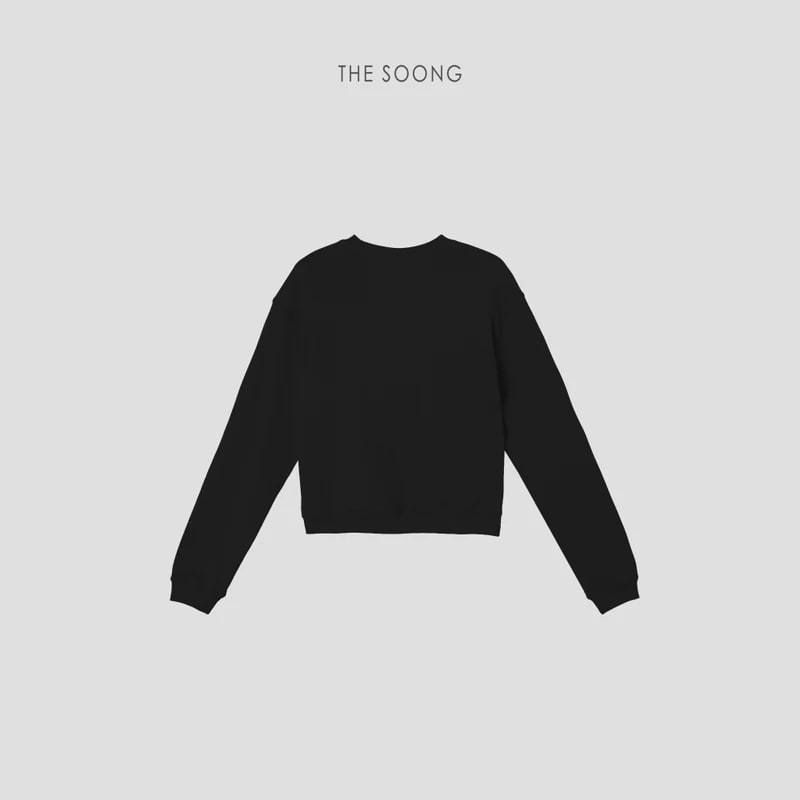 THESOONG “Pop Sweatshirt” 100% Cotton Ribbed Crewneck Relaxed Sweatshirt - 9179 view 12